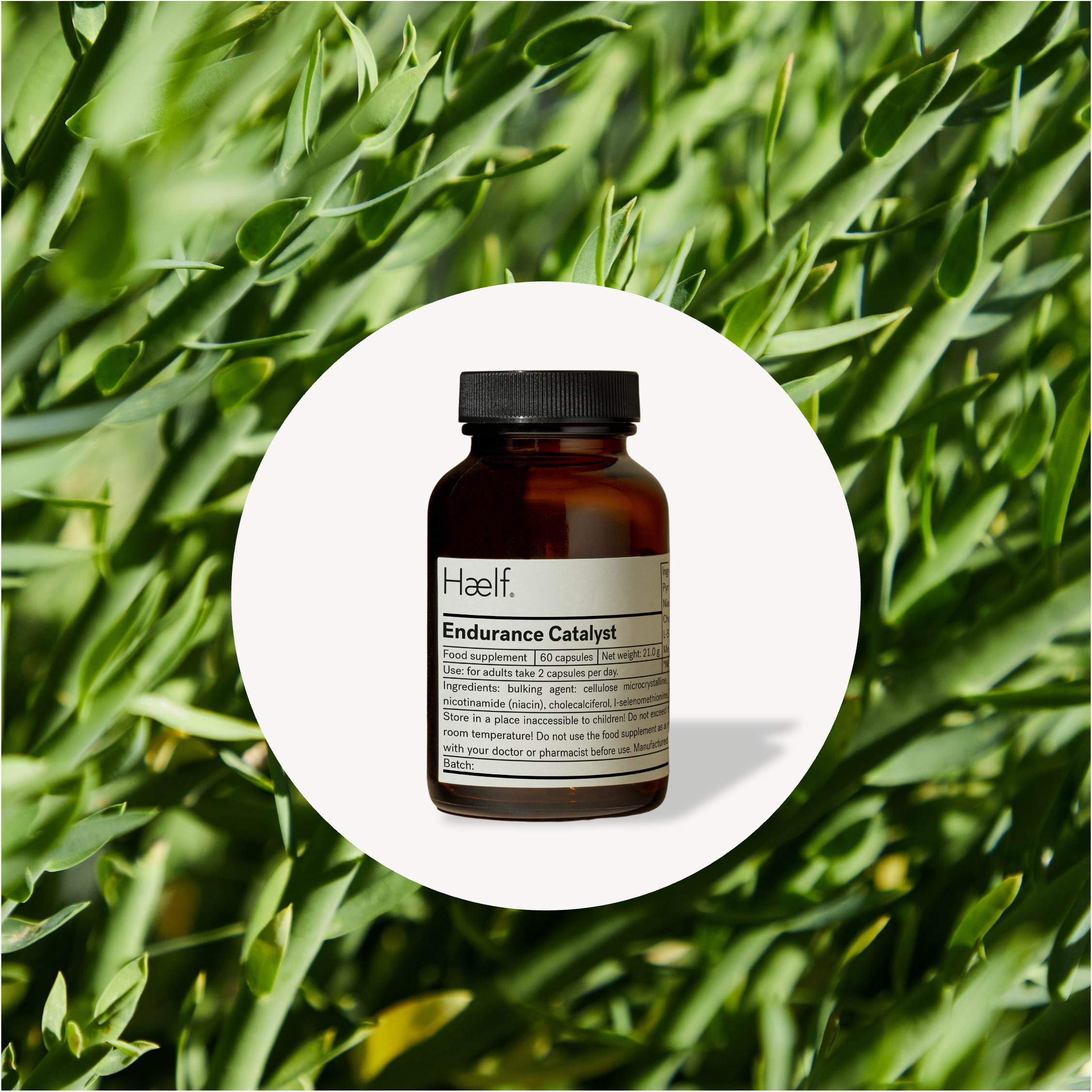 dklewjldkjwelkdjewlew - Haelf